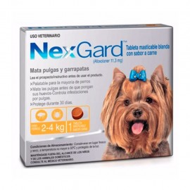 Nexgard -Antipulgas y Garrapatas para Perro