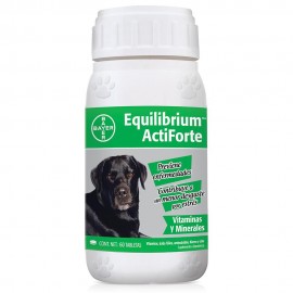 Equilibrium Bayer Actiforte 60 Tabletas - Para Perro