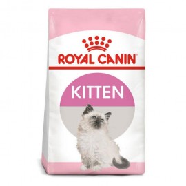 Royal Canin Kitten - Alimento para Gato Cachorro