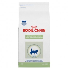 Royal Canin Development Kitten Feline - Alimento para Gatito Cachorro