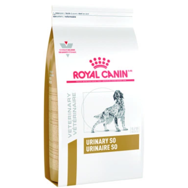 Alimento para Perro